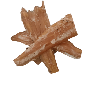 Beef Tendons