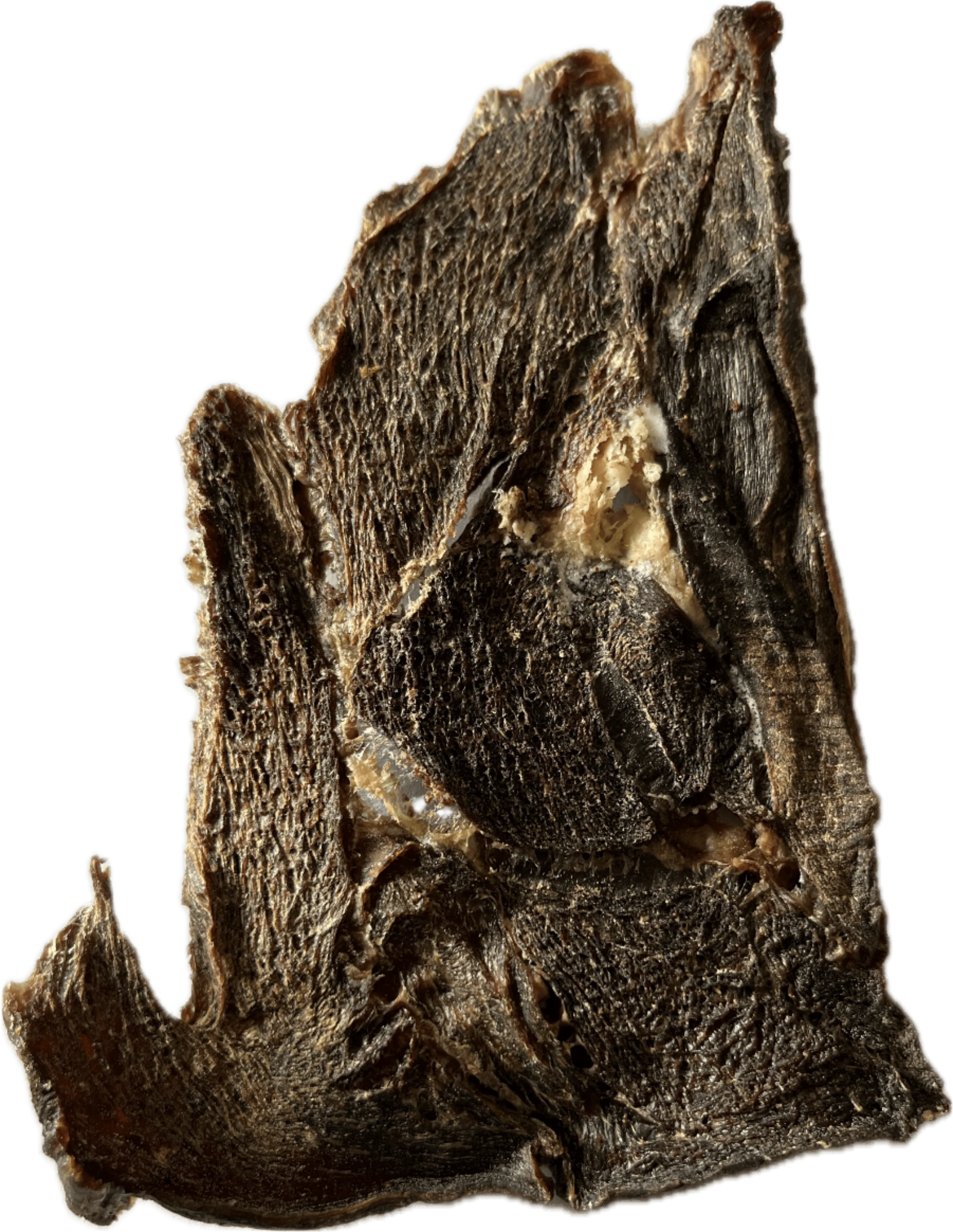 Beef Jerky