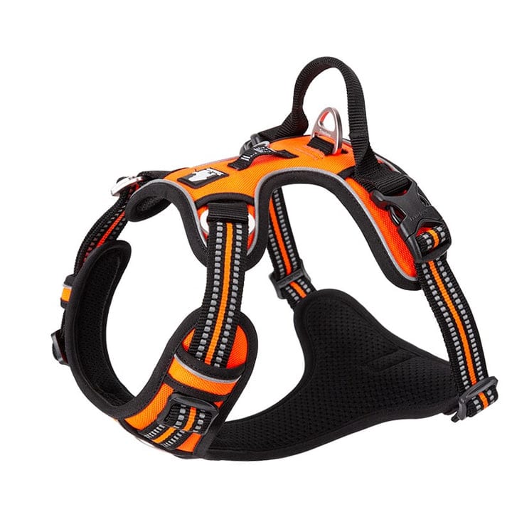 V188-ZAP-TLH56512-ORANGE-XL-B09P4CCWM6.PT01_720x720-01.jpg