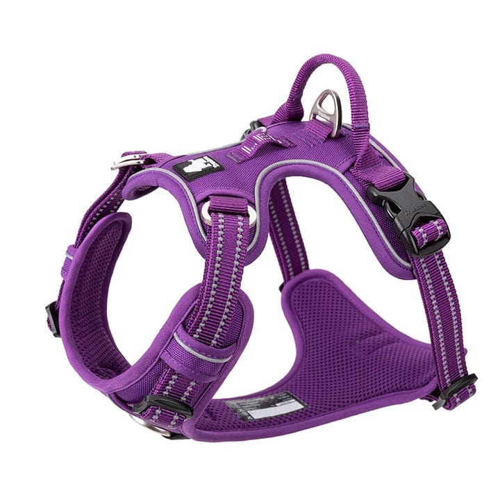 V188-ZAP-TLH56512-PURPLE-L-B09P4C1HP1.PT01_720x720-01.jpg