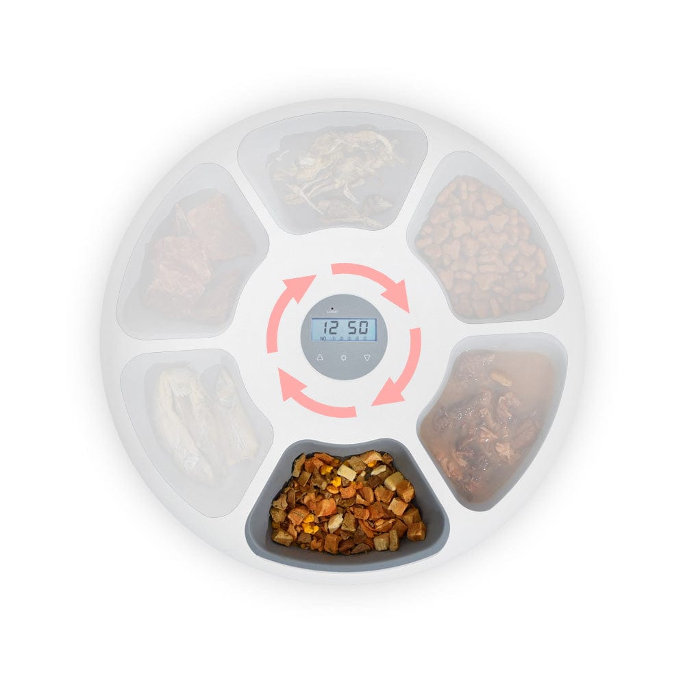 V278-F6-LED-MEAL6-FEEDER-PINK-66763-01.jpg