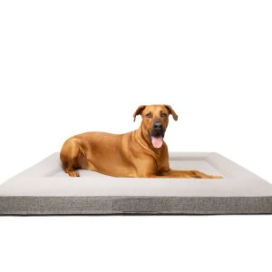 Fur King "Ortho" Orthopedic Dog Bed - XL