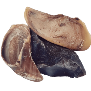Cow Hooves
